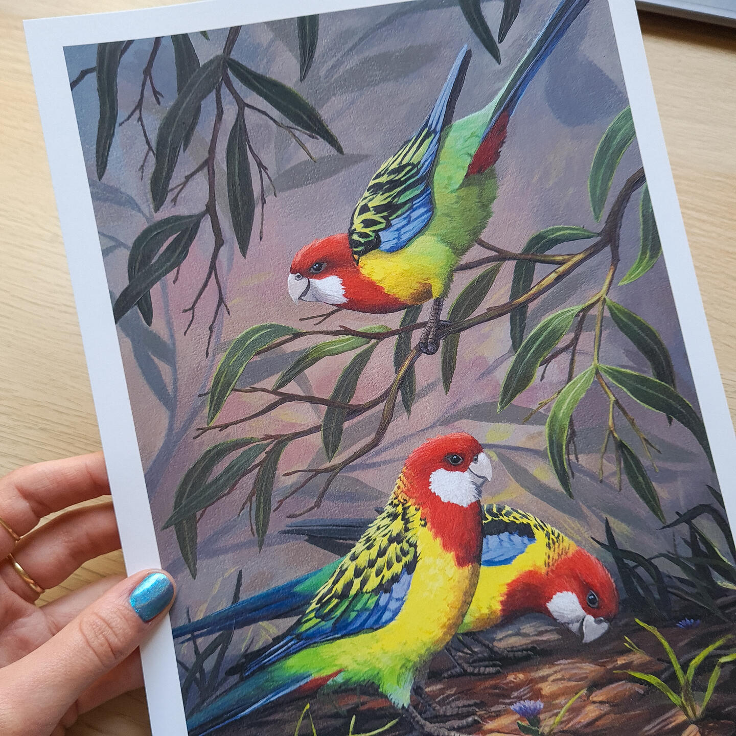 Rosellas, Acrylic Painting
