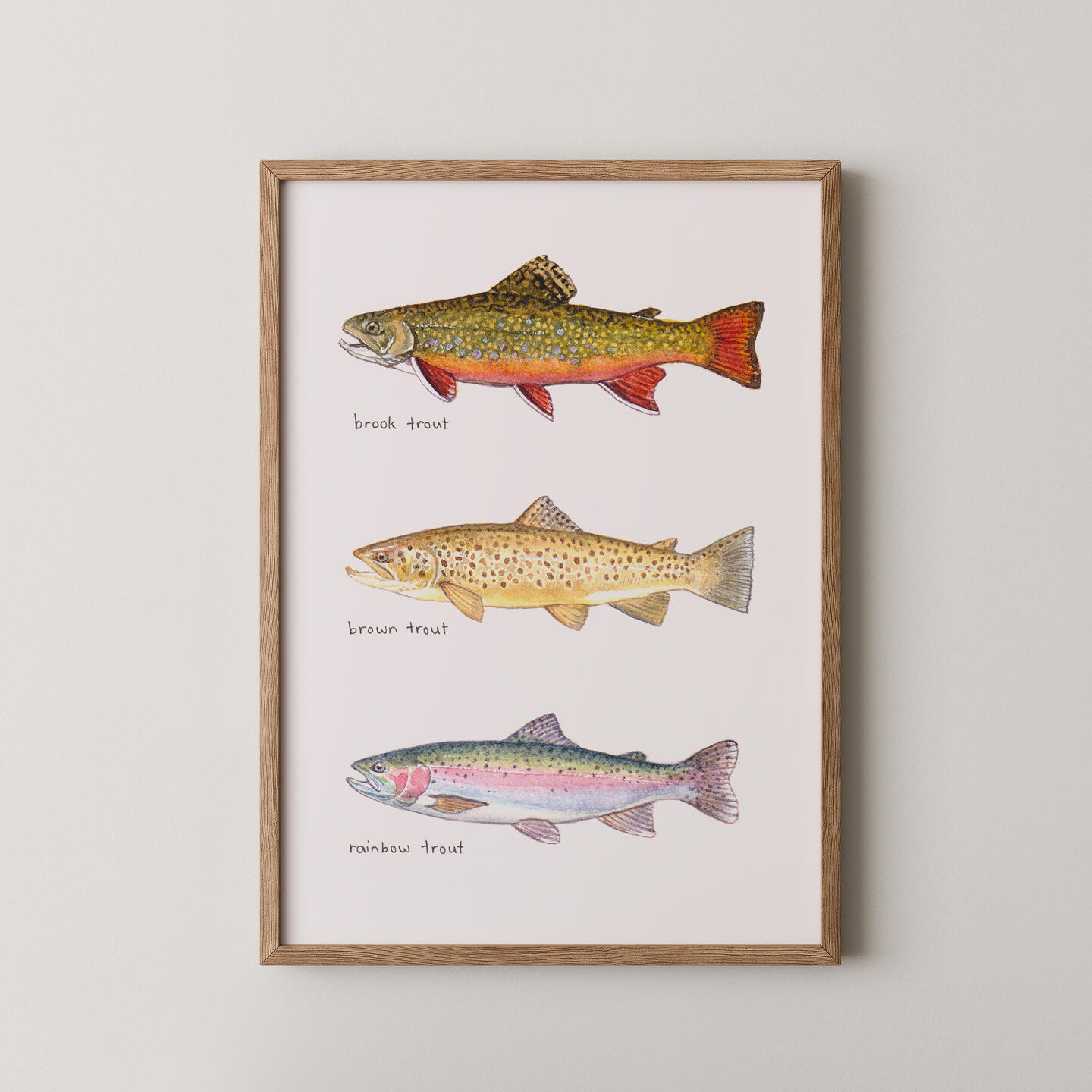Trout trio watercolour painting